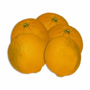 Naranja Navel CF GRANEL Al Peso