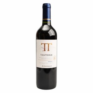 Vino Tinto Merlot VENTISQUERO 750 Ml