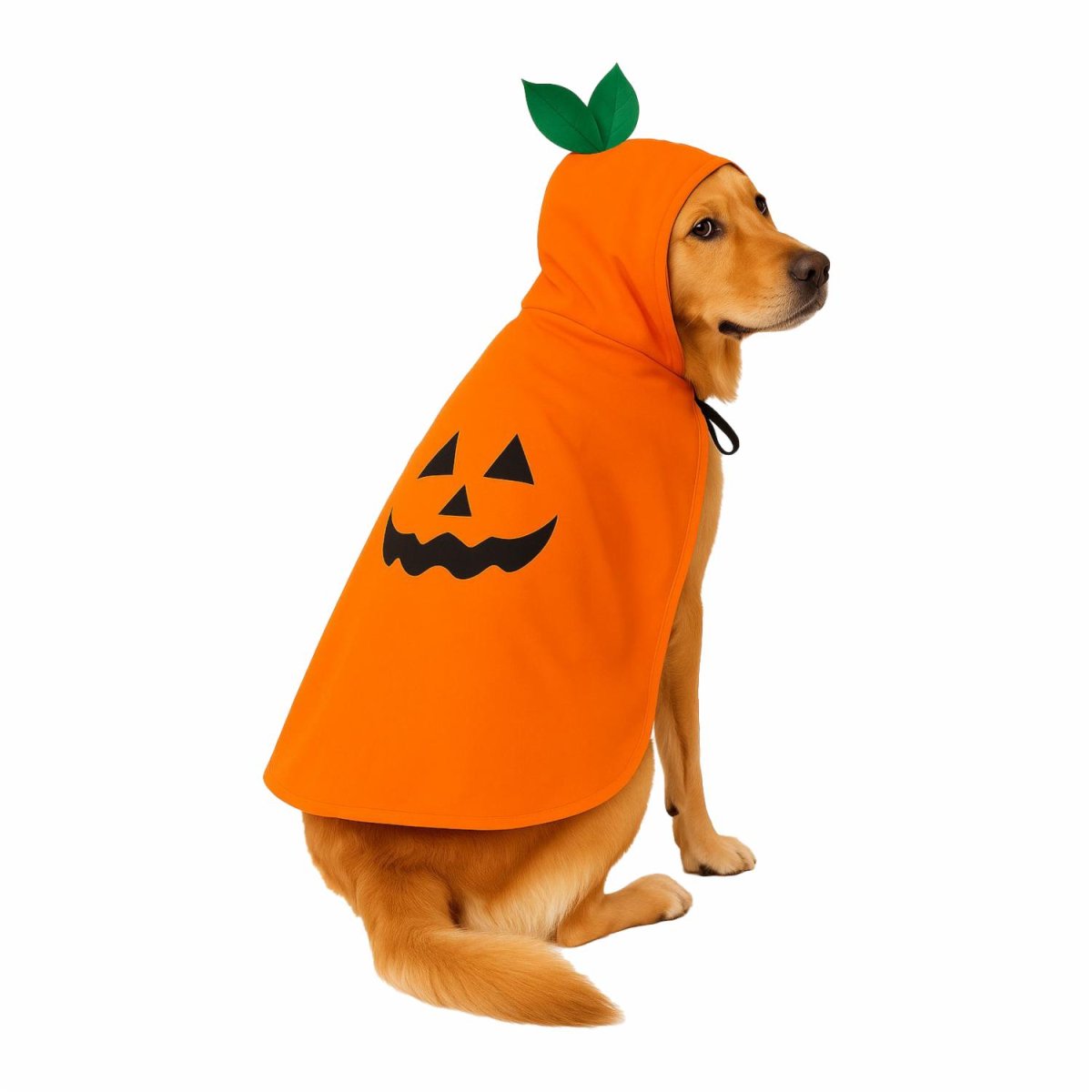 Capa Para Mascota Diseño Calabaza Halloween NENUU Talla Mediana - Imagen 3