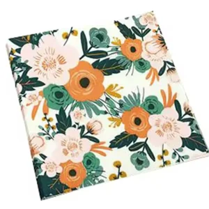 Servilleta de Papel #40