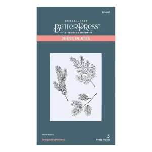 Evergreen Braches Press Plate / Placa De Prensa Ramas Perennes