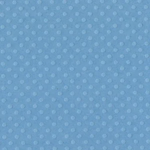 Poolside Dotted Swiss / Cartulina de Puntos Suizos